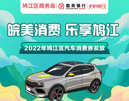 芜湖汽车消费券发放